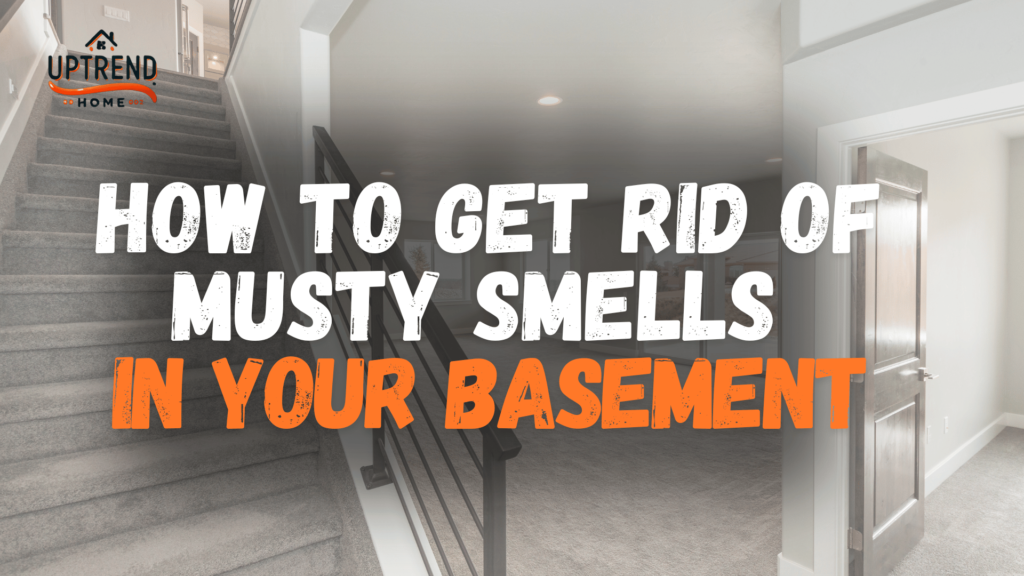 How to Get Rid of Musty Smells in Your Basement